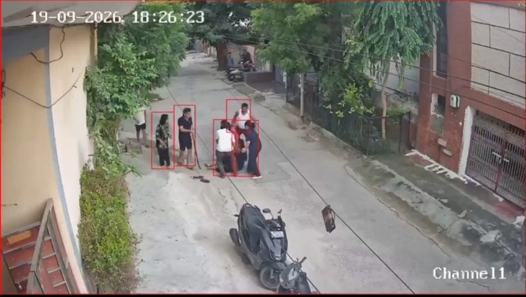 रोहतक में आवारा कुत्ते का आतंक, महिला समेत 7 लोगों को काटा; इलाके में दहशत
