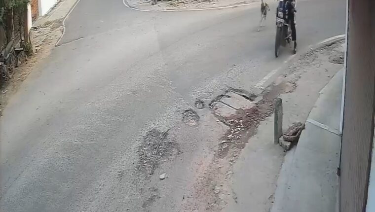 लखनऊ में कुत्ते को गोली मारने का आरोप, CCTV में कैद हुई घटना