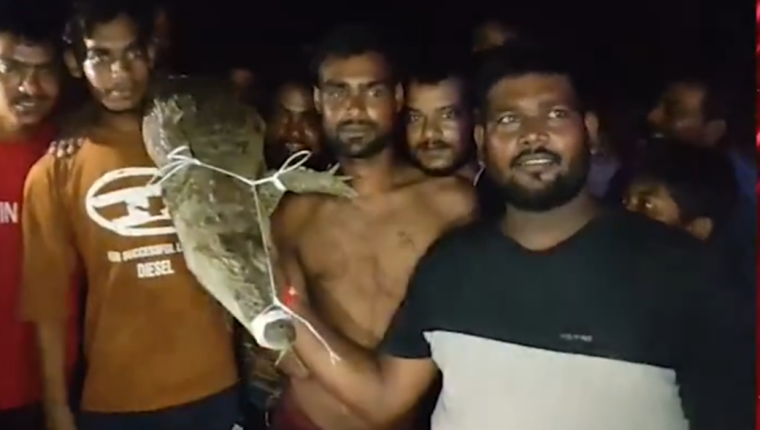 उन्नाव: शुक्लागंज के नेतुवा गांव में मगरमच्छ मिलने से मचा हड़कंप, ग्रामीणों ने रस्सी से बांधकर वन विभाग को सौंपा